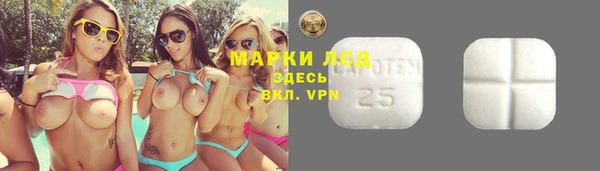 круглые Бородино